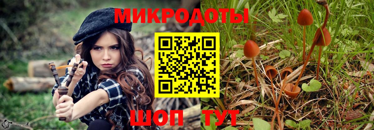 Галлюциногенные грибы Psilocybine cubensis  Псилоцибиновые грибы Cubensis  цены   Вход с VPN  Муравленко 