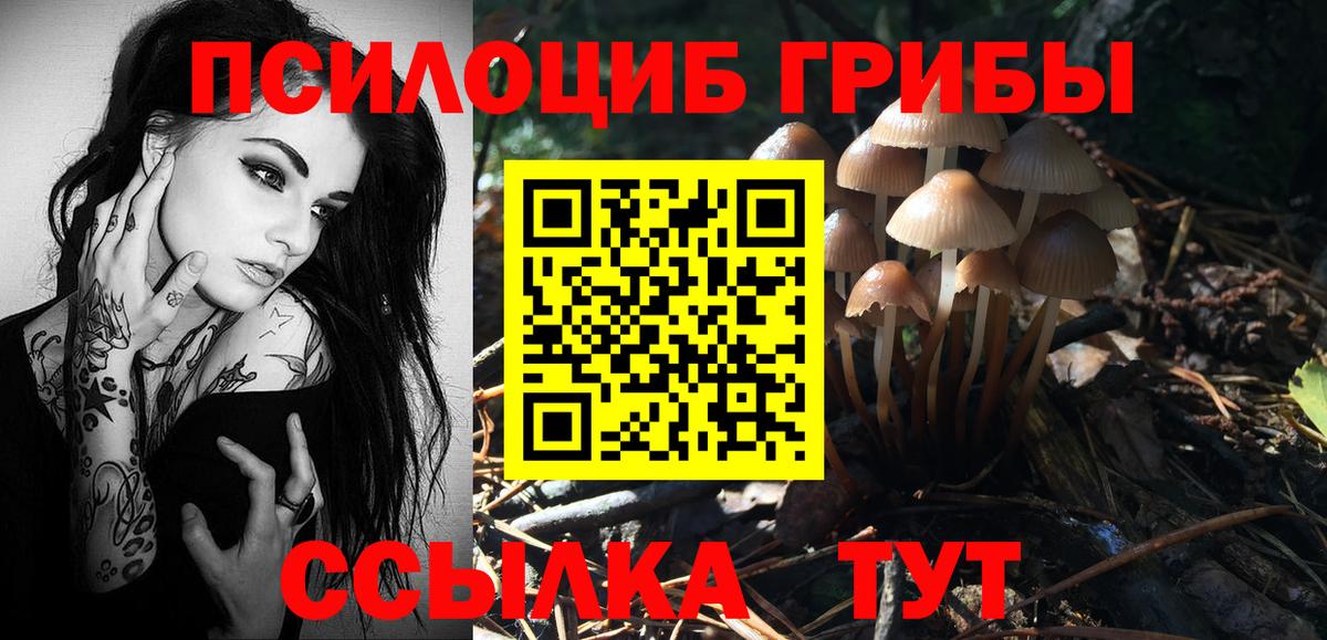 Псилоцибиновые грибы GOLDEN TEACHER Муравленко